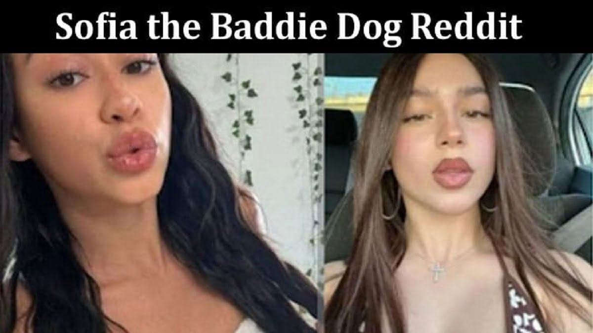 WATCH: Sofia The Baddie Dog's original viral video goes viral around the world