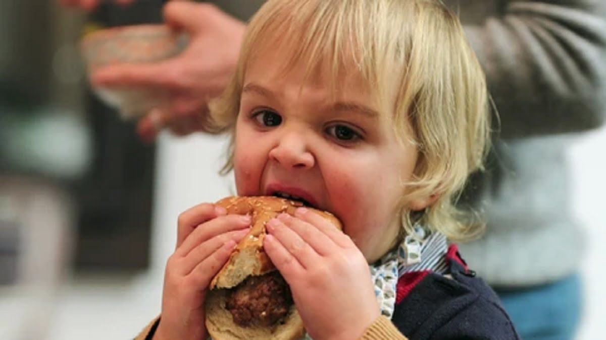 Baby Hamburger Viral Video