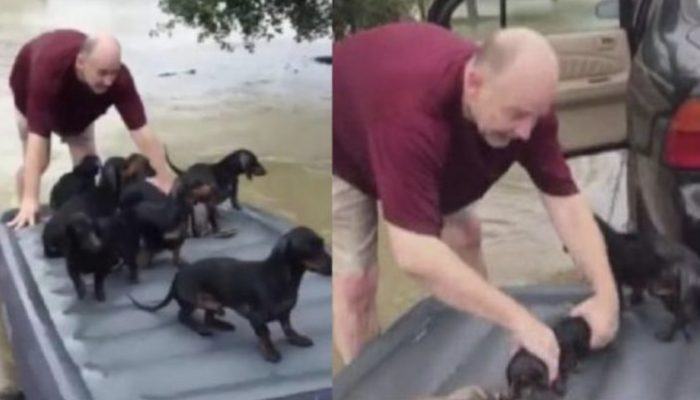 When the flood started, he didn't save his property, but he did save the neighbor's turkeys