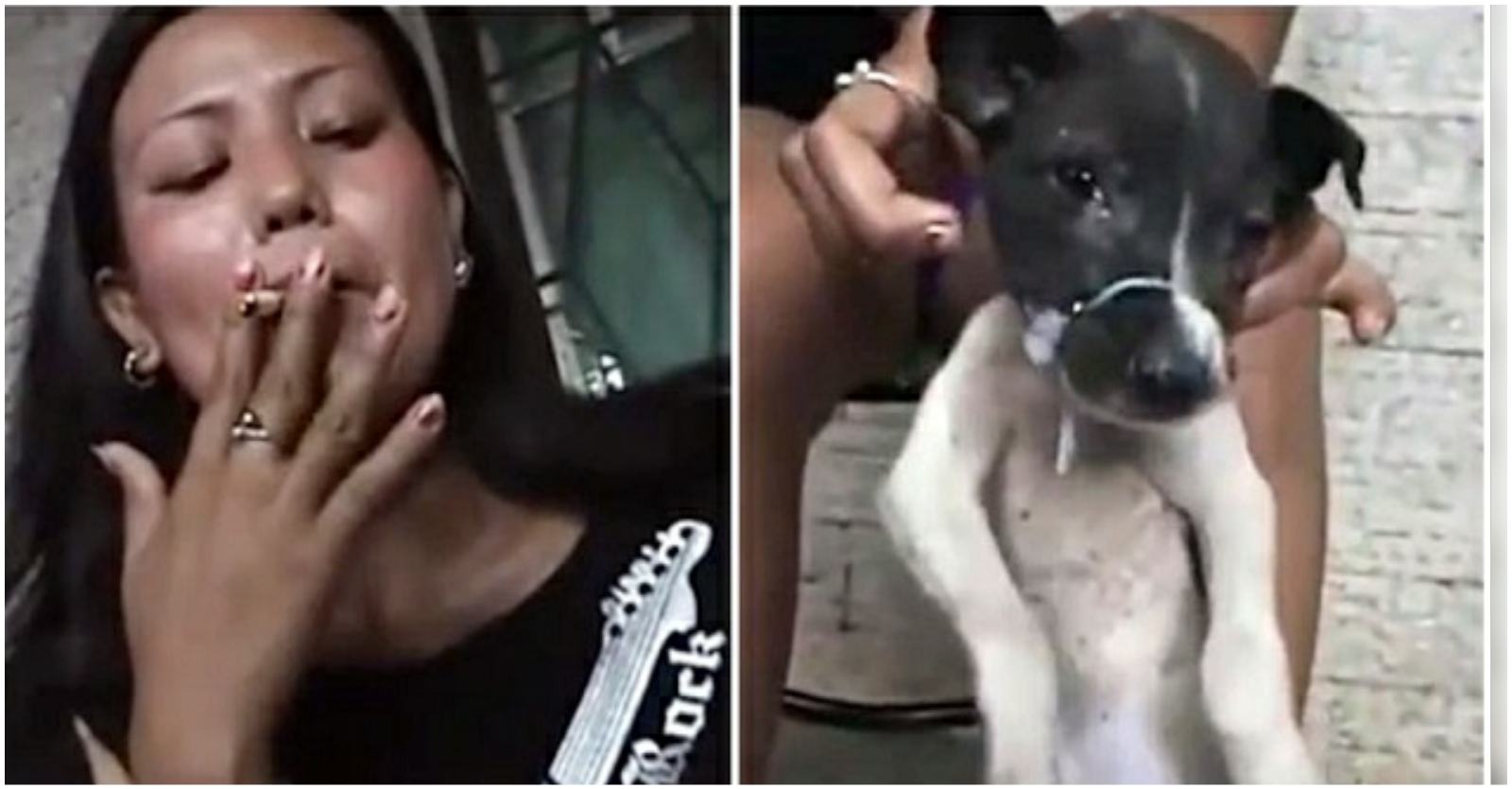 Woman burns dog's eyes and face with cigarette several times while clamping its neck