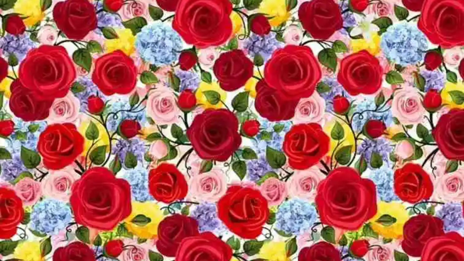 You could have 20/20 vision if you could find the lily hidden among these roses in five seconds.