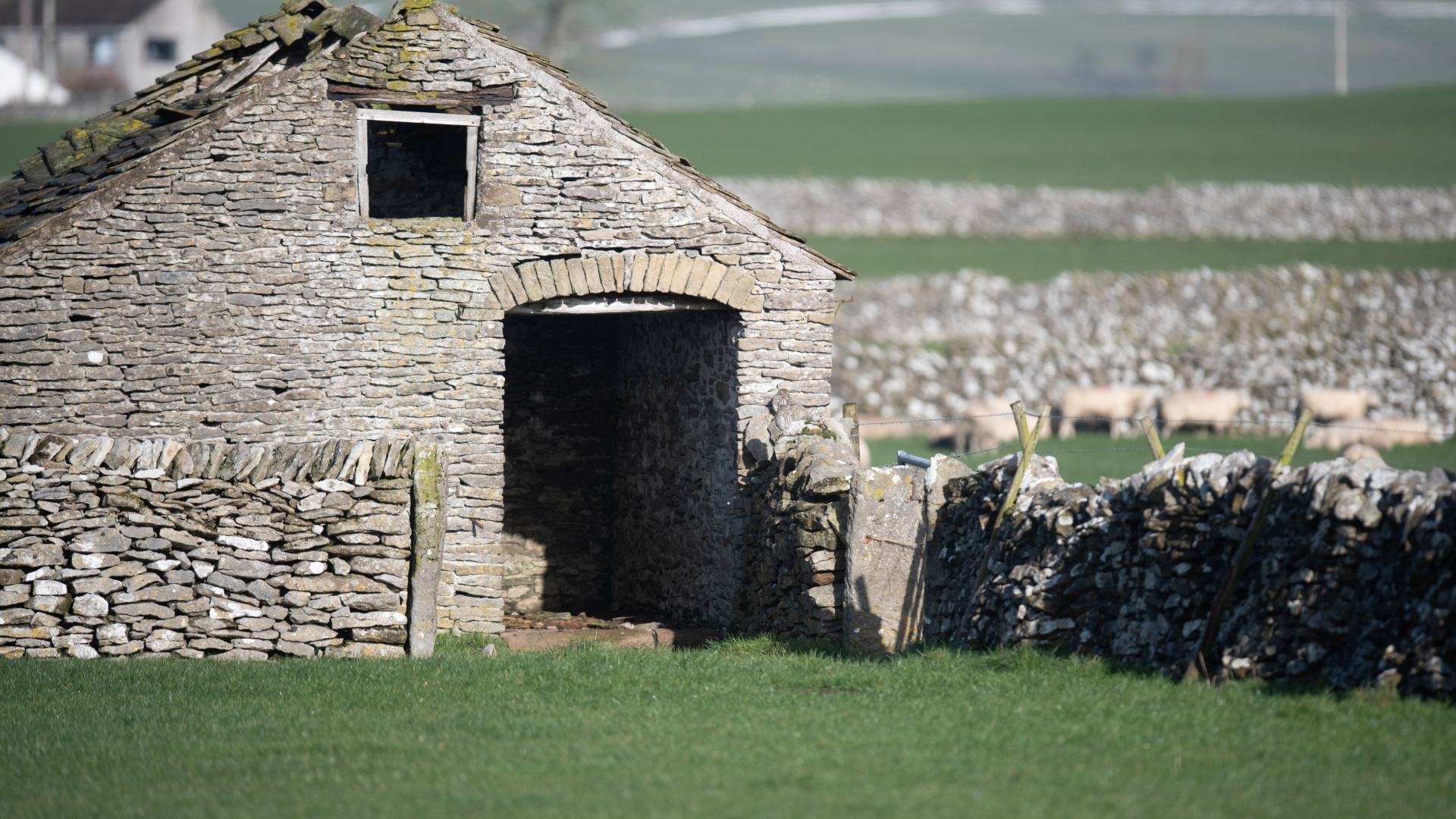 You could have 20/20 vision if you see two birds hiding in this rural scene in five seconds