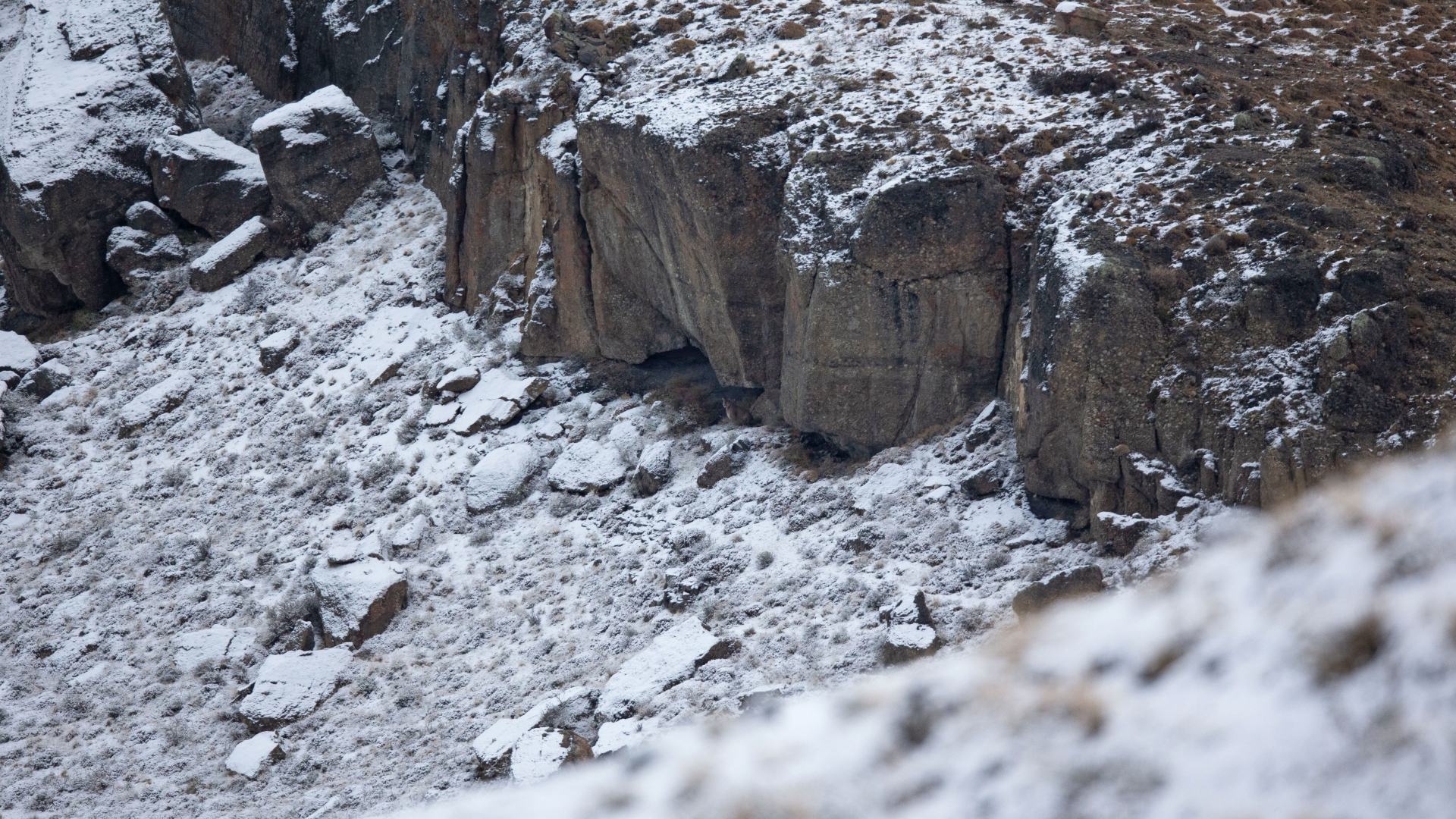 You need 20/20 vision to spot the deadly cougar lurking in this rocky landscape in less than five seconds.