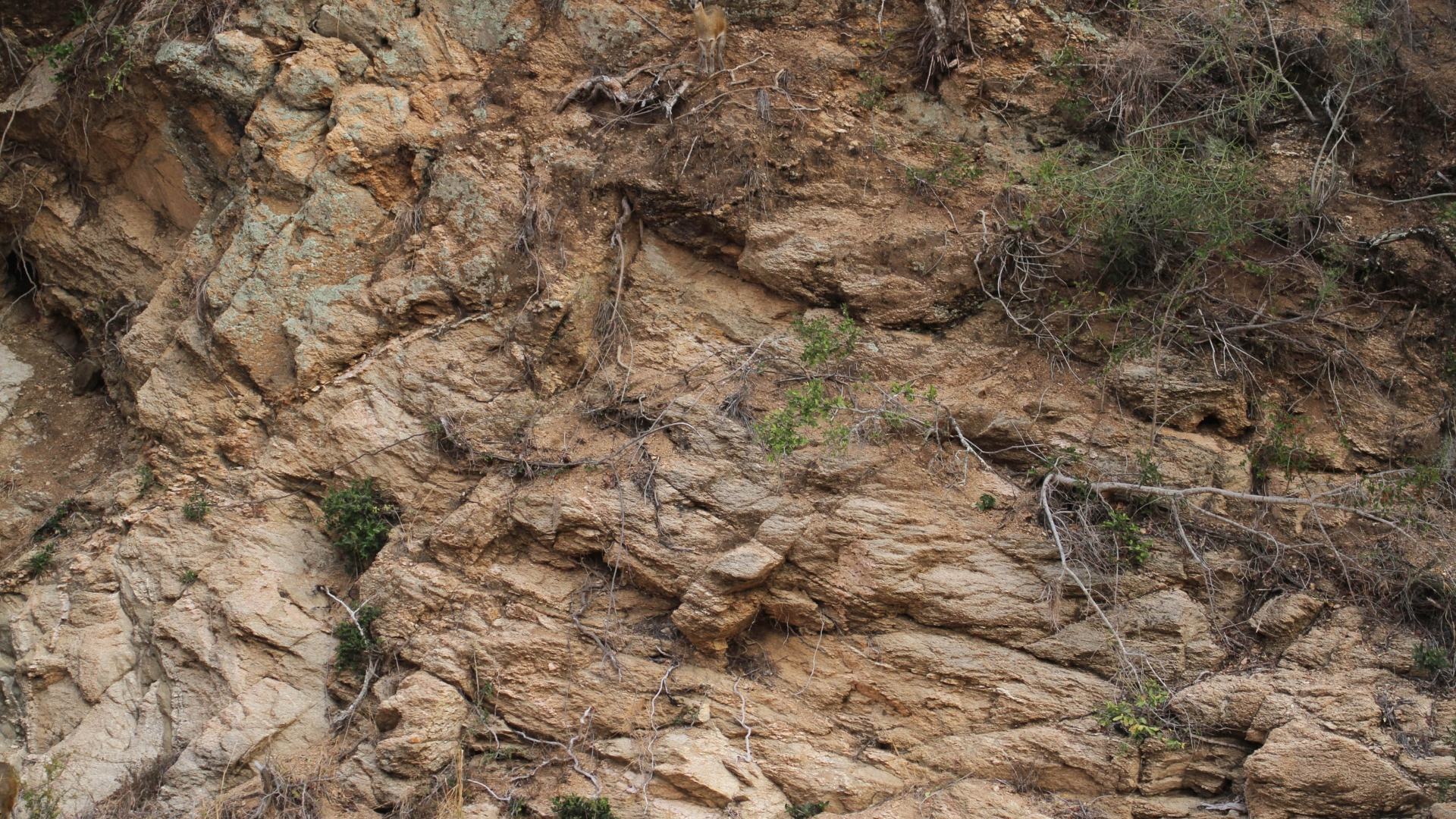 You need 20/20 vision to spot the deer hiding in this rocky landscape in less than five seconds.