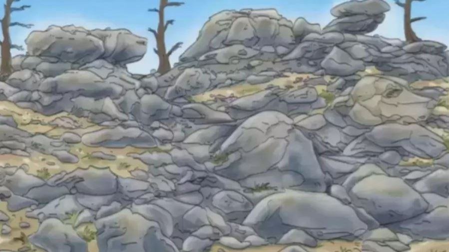 You need a high IQ to find the dog hidden in this optical illusion in less than 10 seconds