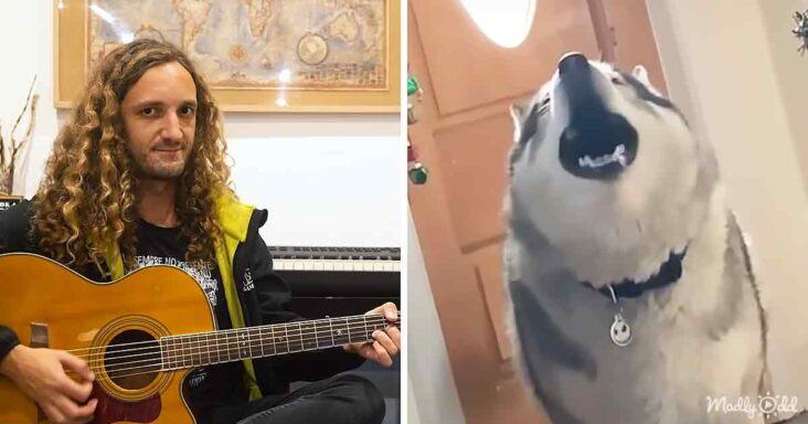 You will love this fun cover.  Musical animals covering the main theme of Good, the Bad & the Ugly