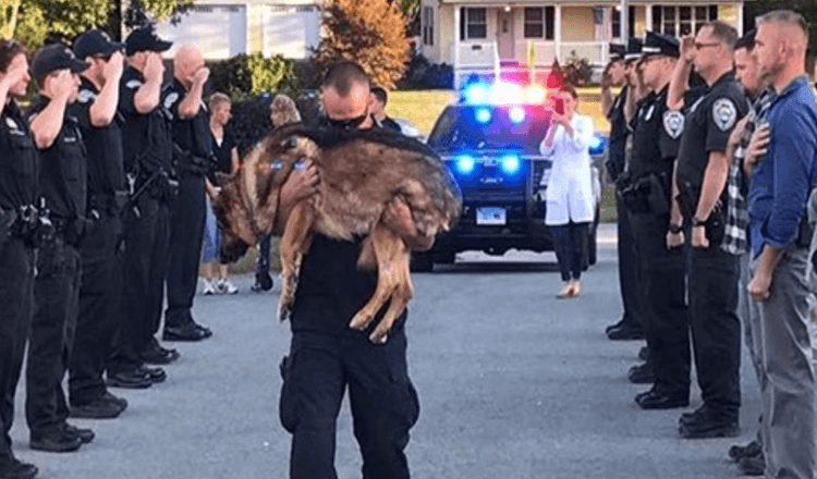 hunter put [his life] on the line every day while I'm on duty to keep the community safe.  The police give a loyal K-9 officer the warmest greetings