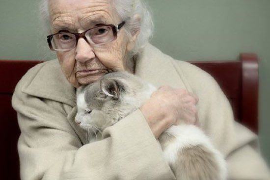 102-year-old grandmother finds a great companion and falls in love with a cat while holding it in her arms