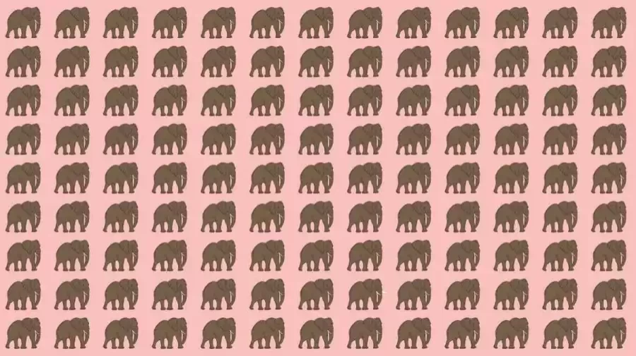 Observation Skill Test: If you have Eagle Eyes find the Odd Elephant in 10 Seconds