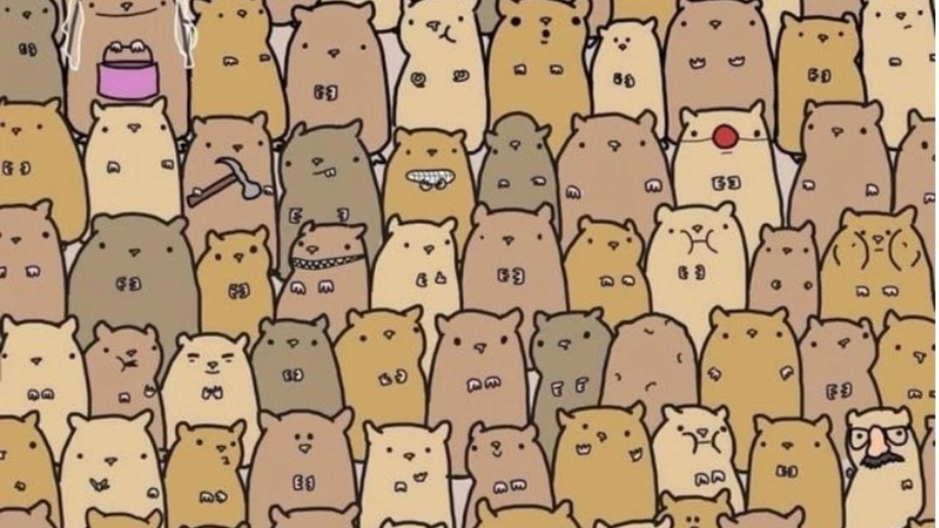 You might have a high IQ if you can spot the stranger among these adorable hamsters