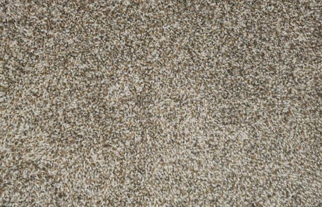 You have the eyes of a hawk if you can spot a camouflaged spider hiding in the carpet.