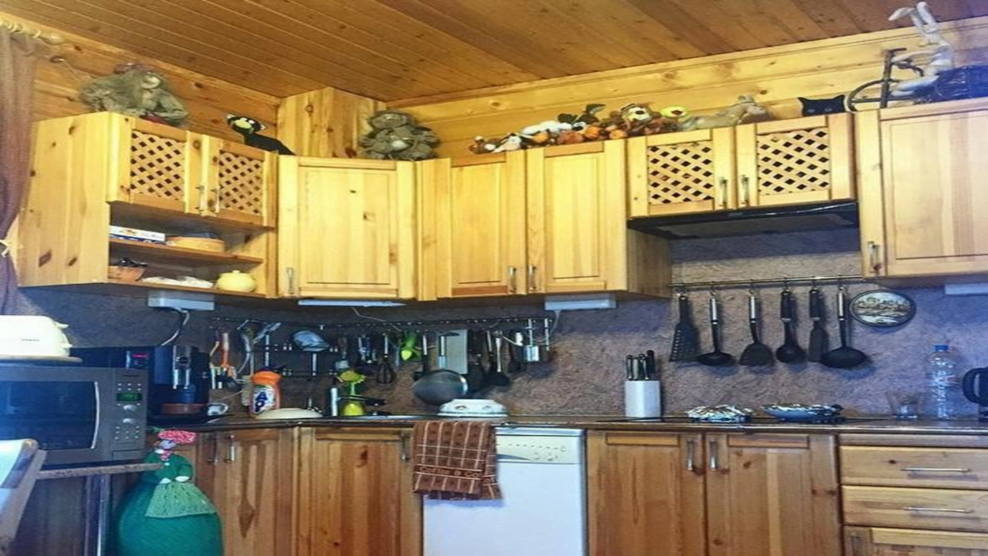 You’ve got the eyes of a hawk if you can spot the cat hiding in plain sight in this kitchen in 10 seconds