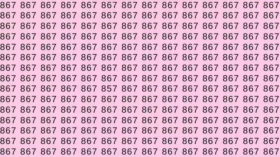 Optical Illusion Brain Test: If you have Hawk Eyes Find the number 857 among 867 in 9 Seconds?