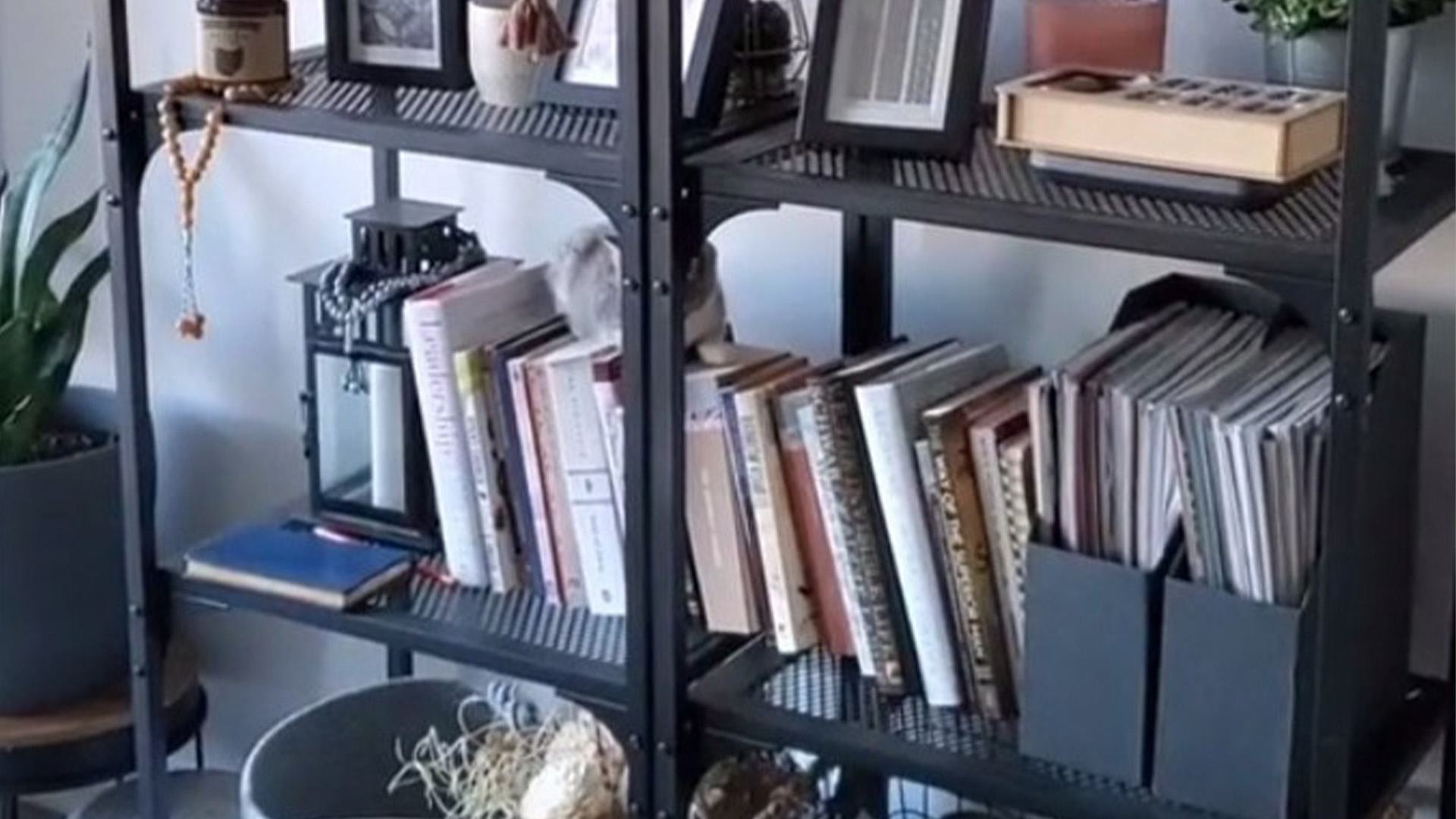 You have the eyes of a hawk if you can spot 2 cats hiding on the bookshelf