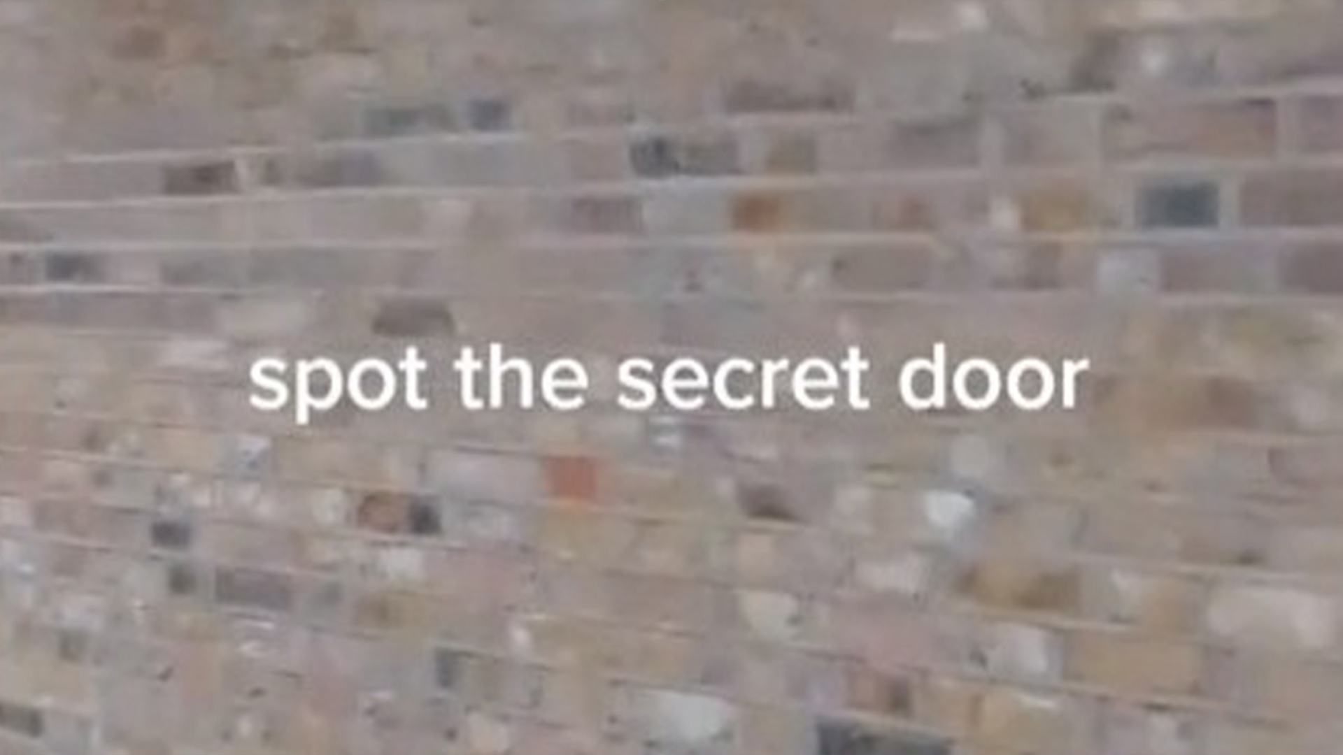 You have the eyes of a hawk if you can spot the hidden door in brick wall