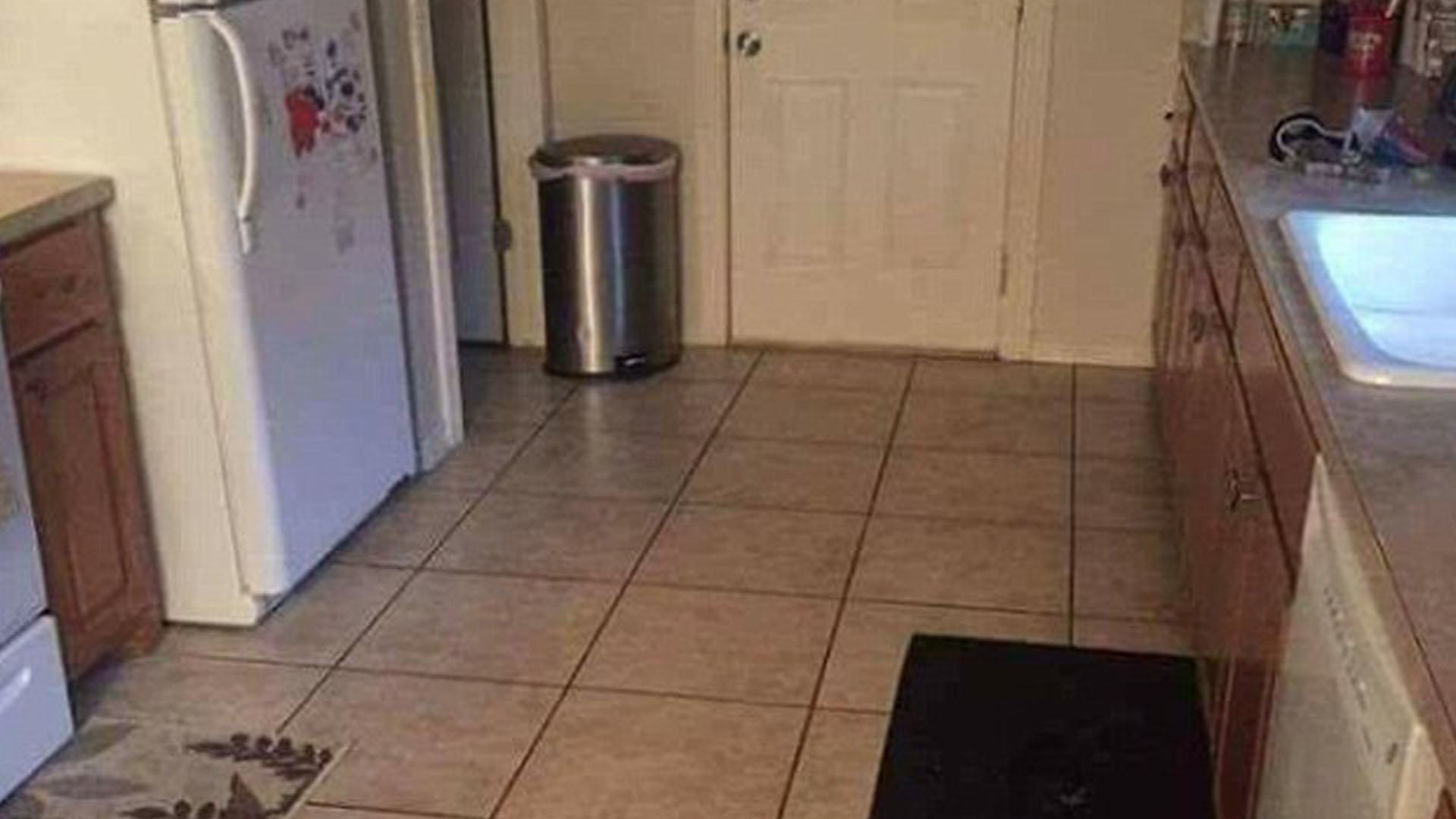 You have the eyes of a hawk if you can spot the dog hiding in the kitchen