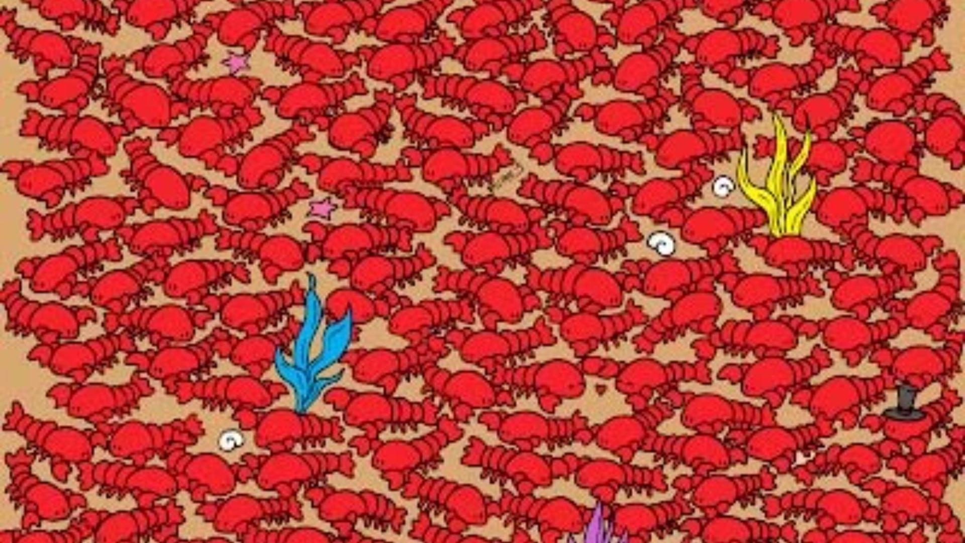 You have the eyes of a hawk if you can spot the four crabs in this mind bending optical illusion