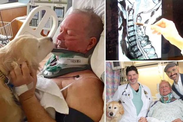 A brave dog saved his owner's life by lying on top of him and barking for 20 hours in cold weather.  A man fell and broke his neck