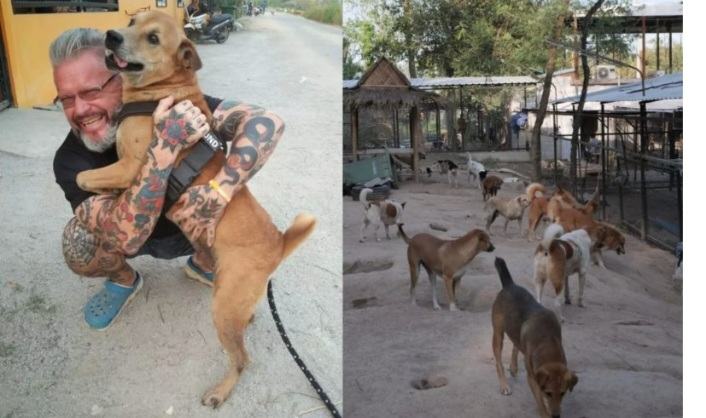 A chef gives up his old life to open Thailand's largest animal shelter