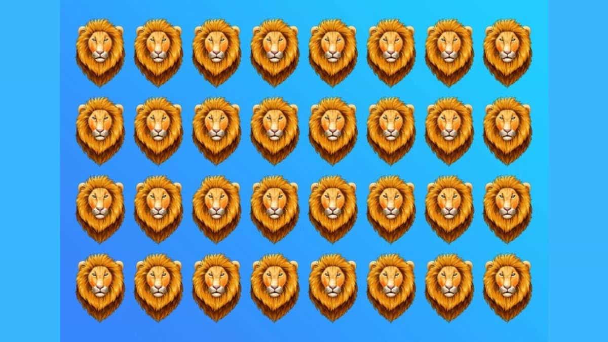 Find Odd Lion in 7 Seconds