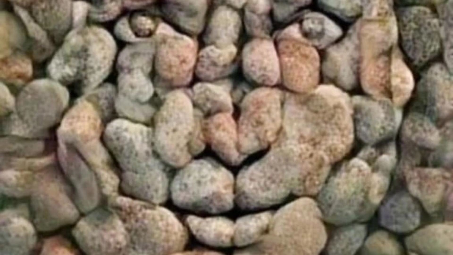 A clever optical illusion reveals if you avoid being emotional or if you are a true romantic.  So, who are you?