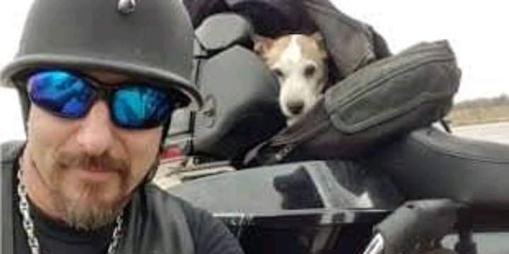 A cyclist rescued an abused dog after seeing the dog abandoned on the side of the road.