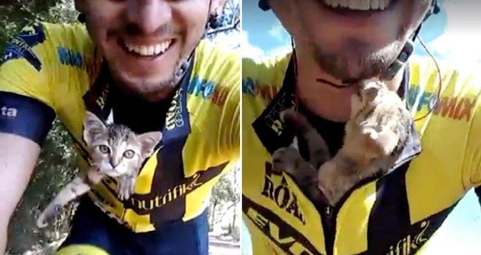 A cyclist saves a kitten, which continues to kiss him in gratitude