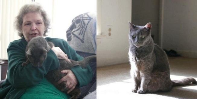 A devoted friend.  Smart stuffed cat named Trigger calls for help when owner has a stroke