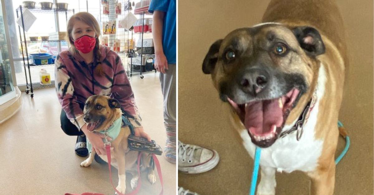 A dog that has been waiting in a shelter for almost 5 years has finally found a permanent home