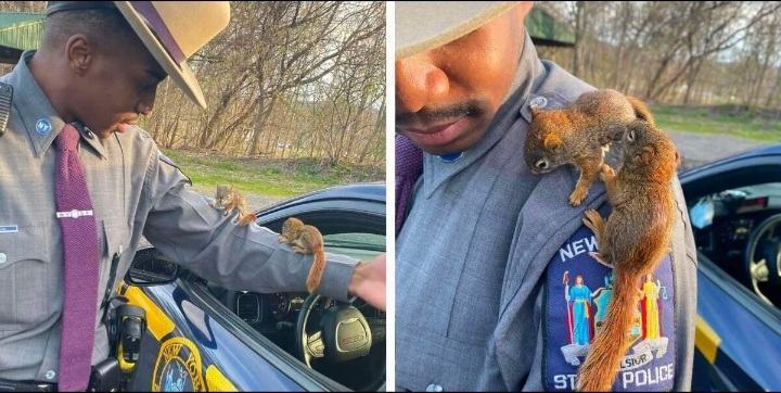 A friendly cop notices two little squirrels on a busy street and eventually becomes their best friend