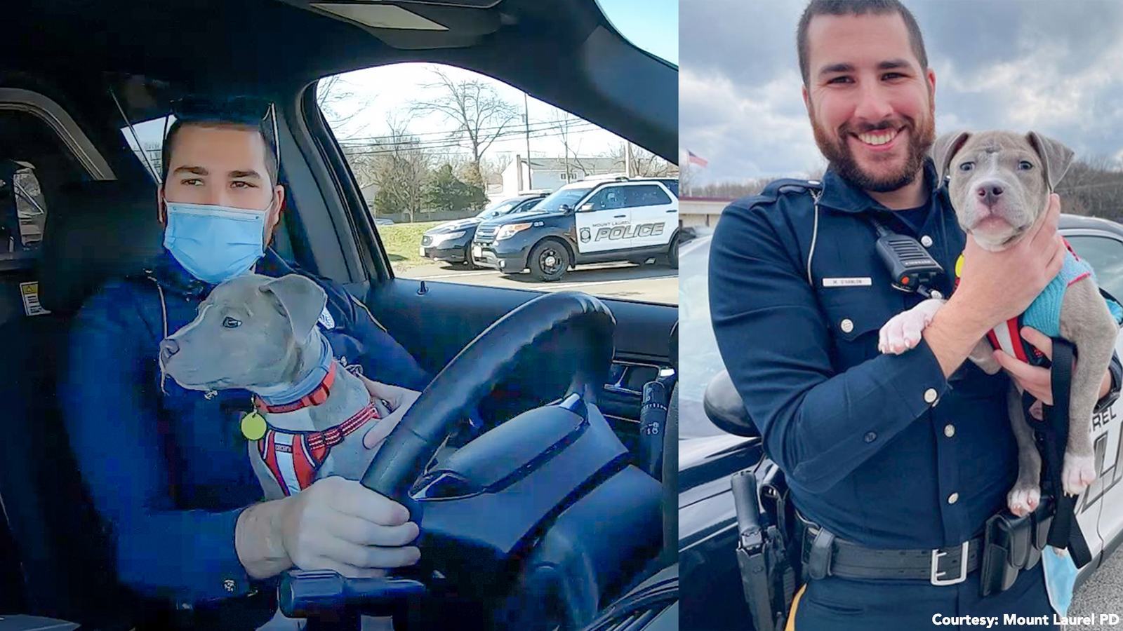 A friendly policeman adopts a stray dog ​​he saved while on duty