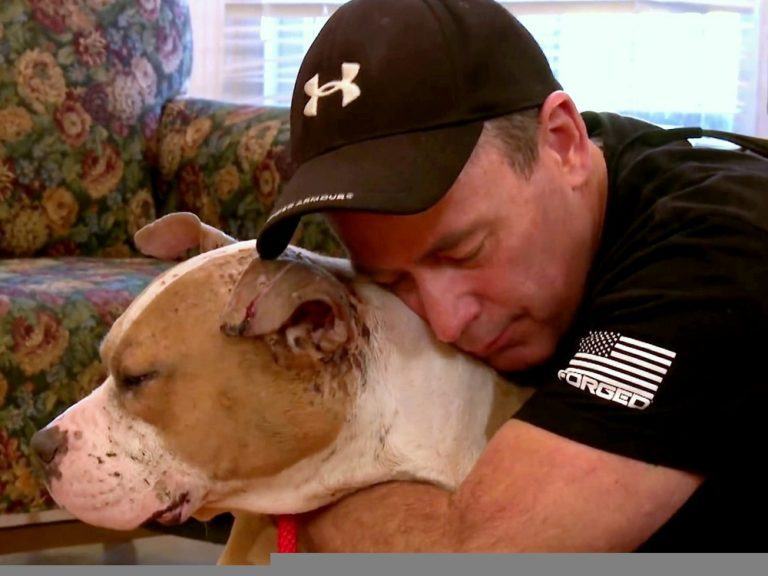 A friendly policeman returns to town to meet the dog he once saved