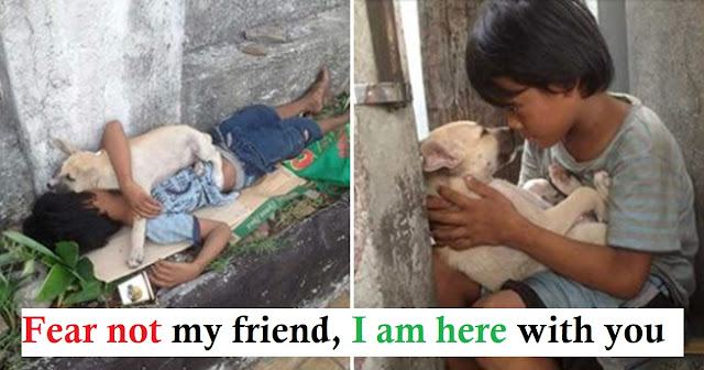 A homeless boy saves a dog and they become real friends.  Both bring happiness to each other