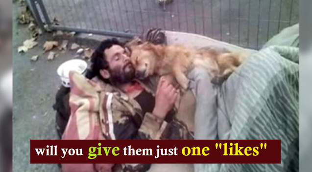 A homeless man sleeps outdoors with his dog in his arms.  The dog is the wingless guardian angel of the homeless