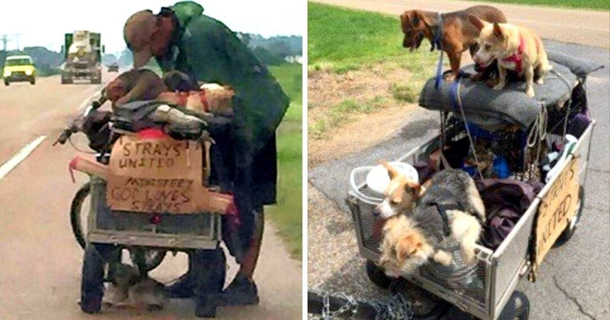 A homeless man walks with his 11 puppies in a stroller.  A woman sees a good man and suddenly changes this man's life