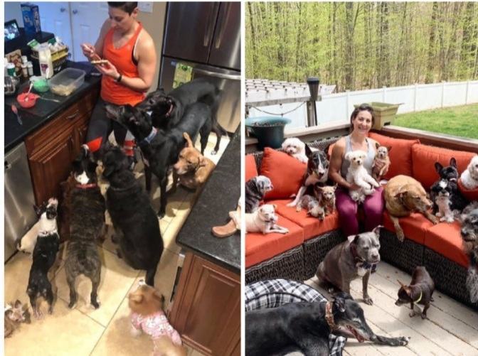 A kind couple spent $50,000 to turn their home into a safe place for elderly and disabled dogs