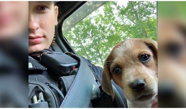 A kind police officer adopted an injured cute dog a month after saving his life