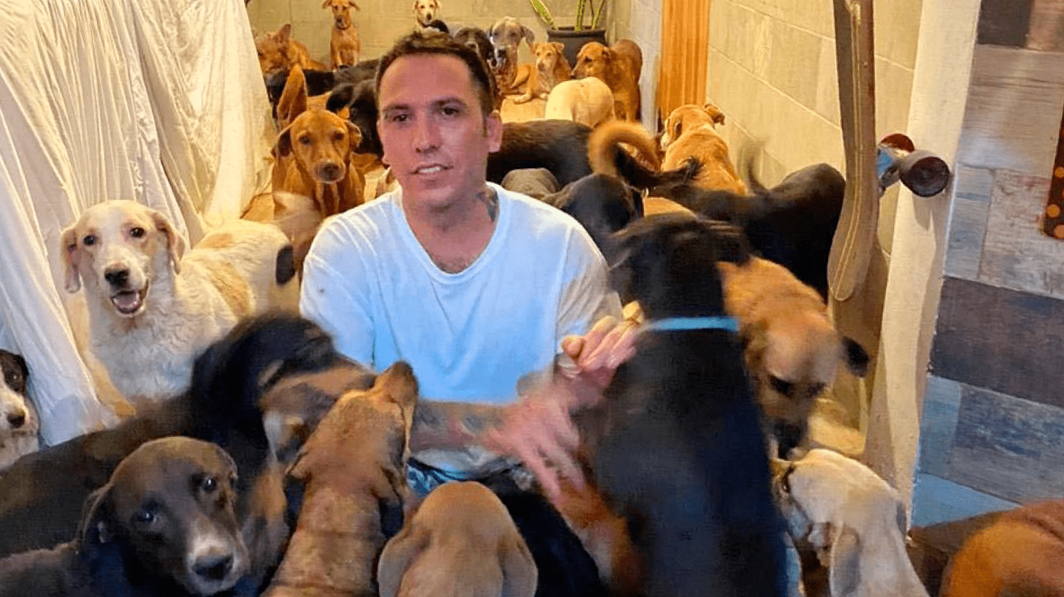 A man brought 300 shelter dogs to his home to sleep over to keep them safe from a dangerous storm