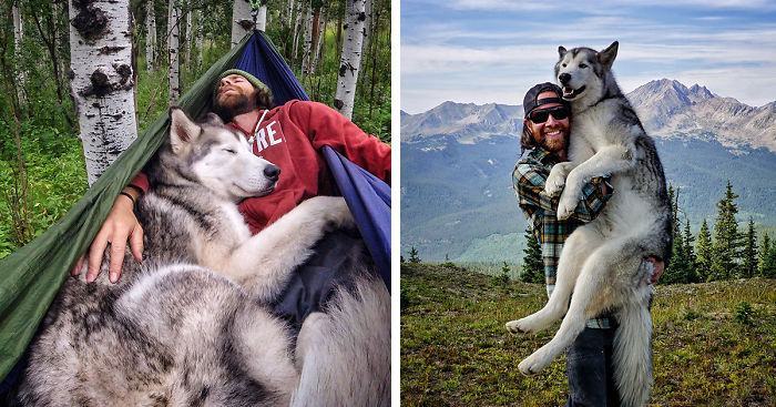 A man takes his wolf dog on an adventure instead of locking it in the yard