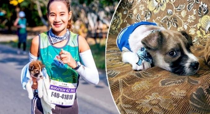 A marathon participant holds a dog in his arms for 30 km.  Rescue the abandoned dog