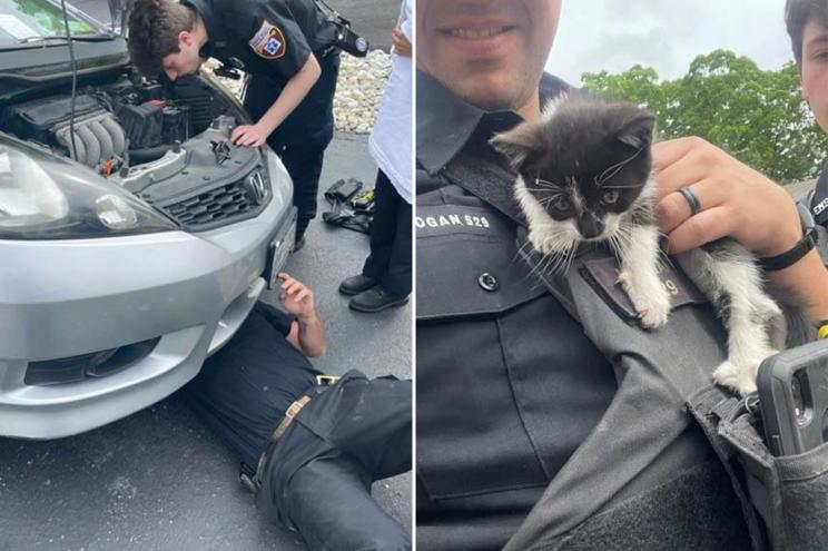 A police officer adopted a kitten after rescuing it from a car engine