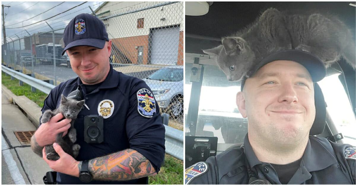 A policeman found a kitten under his car and decided to adopt the cute kitten