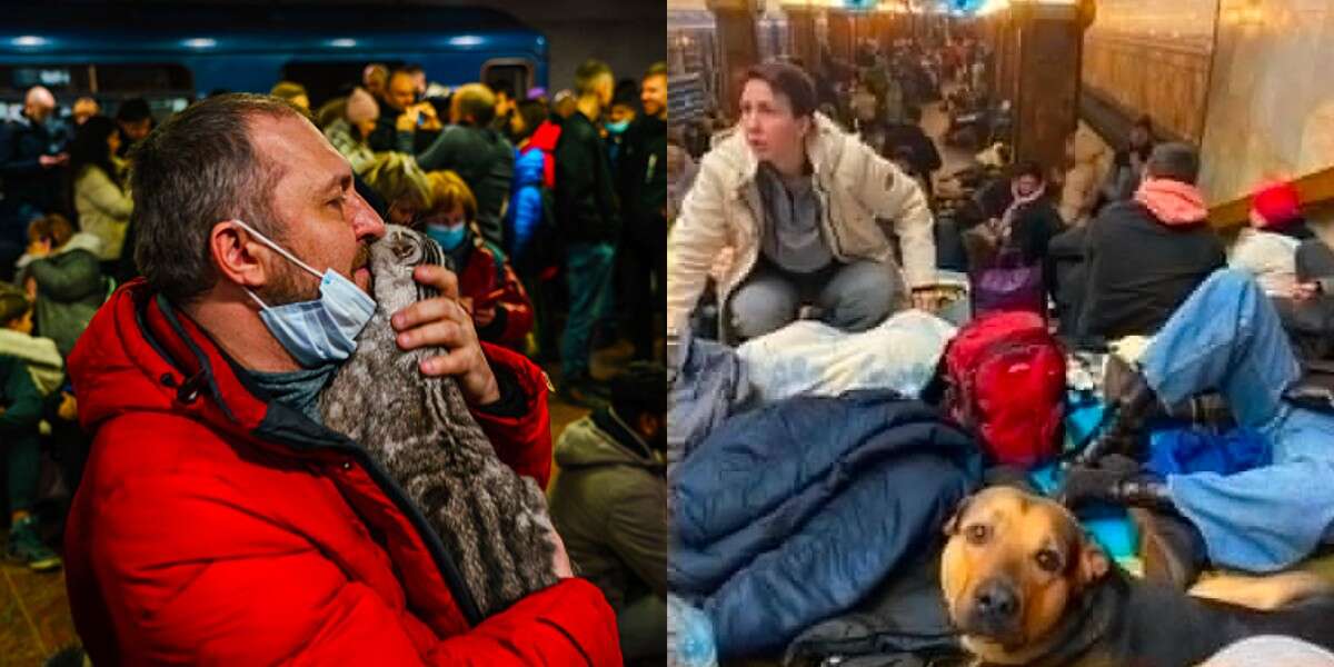 A scene that touches the heart.  Ukrainians are fleeing Ukraine, bringing their pets