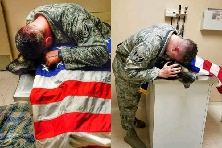 A soldier hugs his loyal friend K-9 one last time and stays with the dog until the last moment of his life