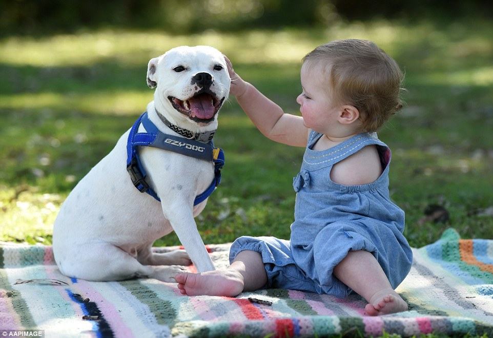 A story that touches the heart.  The one-armed girl and the three-legged dog became real friends