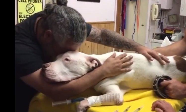 A strong man kisses and hugs his 14-year-old dog, which dies in seconds.