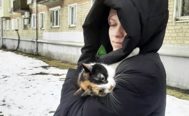 A terrorized cat named Busya ran to a tree during the air raid, but its owner refused to leave it.