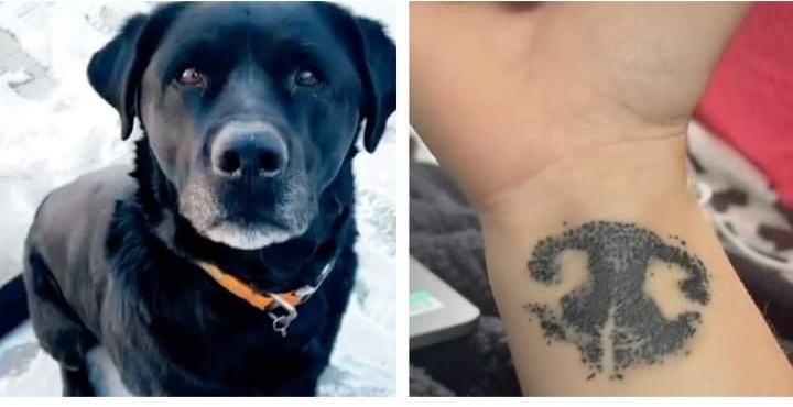 A touching scene.  A woman honored her favorite dog with the most poignant and moving tattoo ever