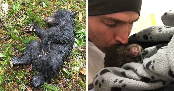 A touching story about a bear cub found in a dire condition.  Fortunately, he was saved by a kind man