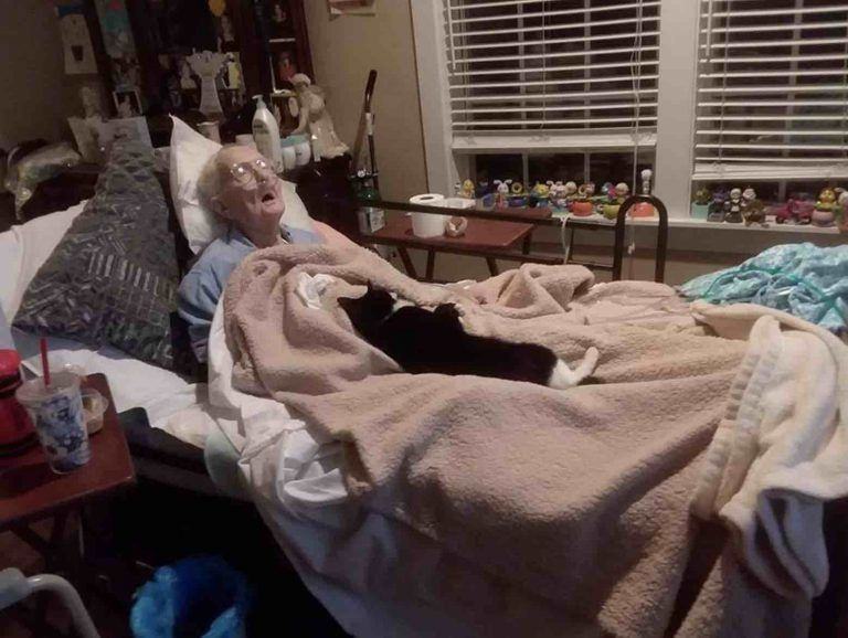 A true friend of a kitten who refuses to leave the bed of the dying grandmother who raised him